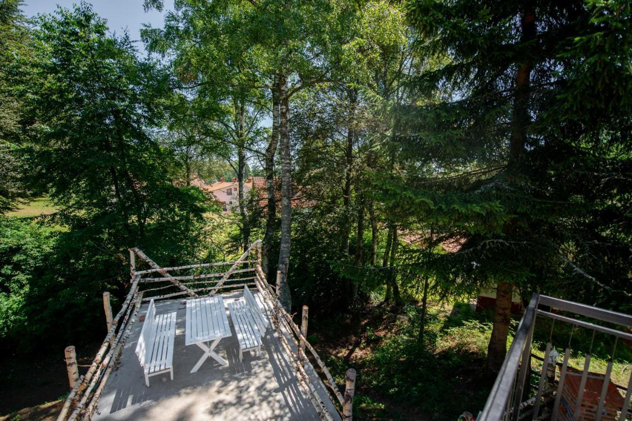 Suncev Breg Vlasinsko Jezero Apartment *
